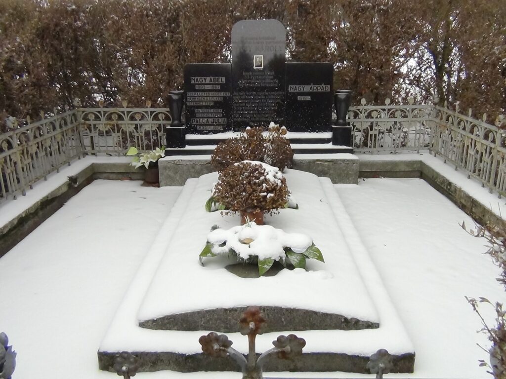 balogivanyi-nagy-abel (2)