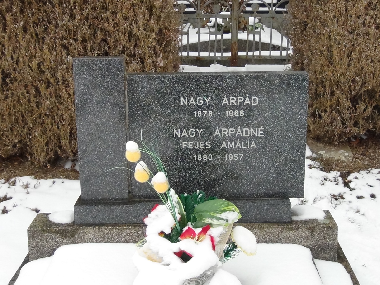 balogivanyi-nagy-arpad (2)