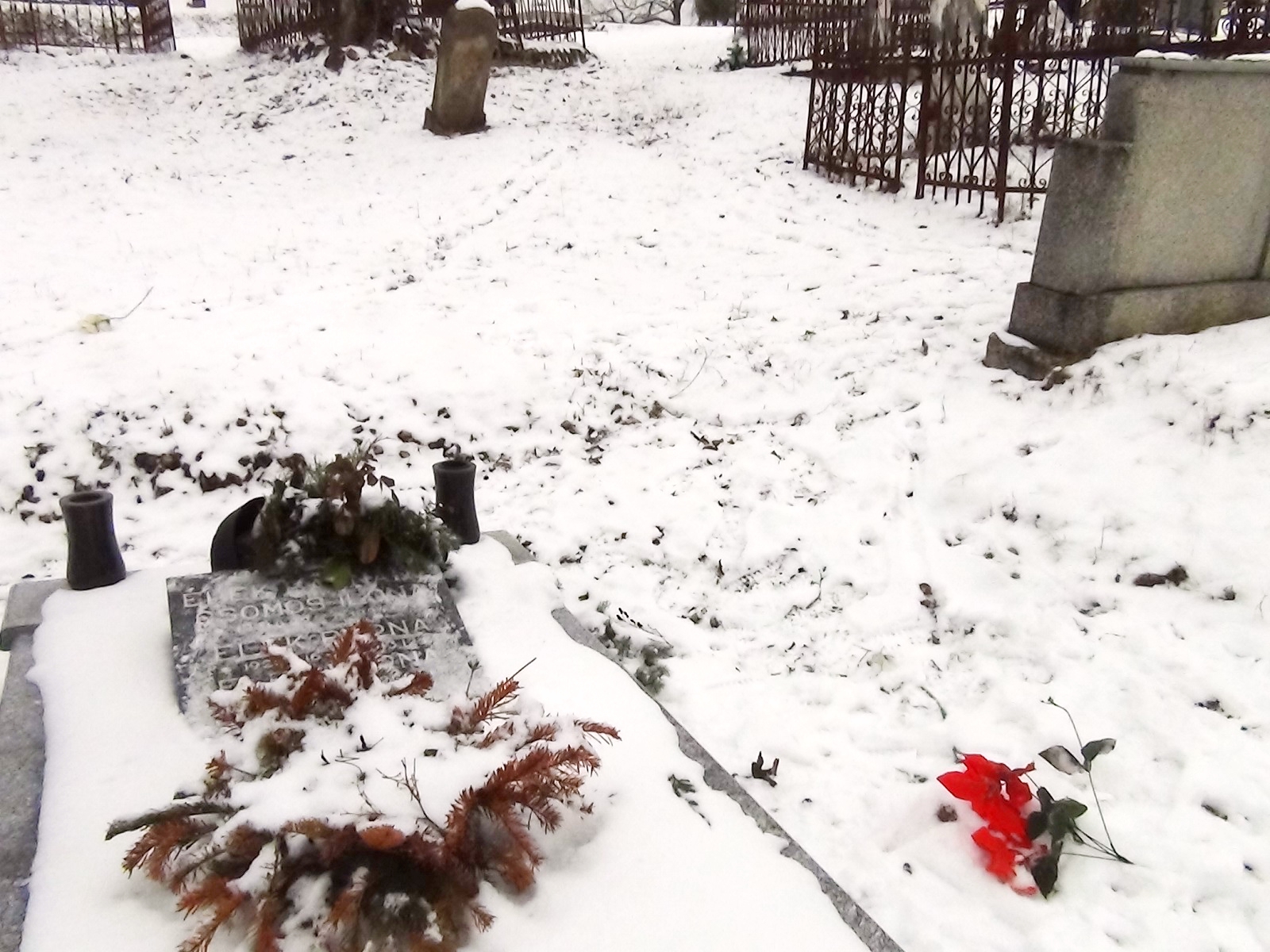 nagybalog-elek-barna (3)