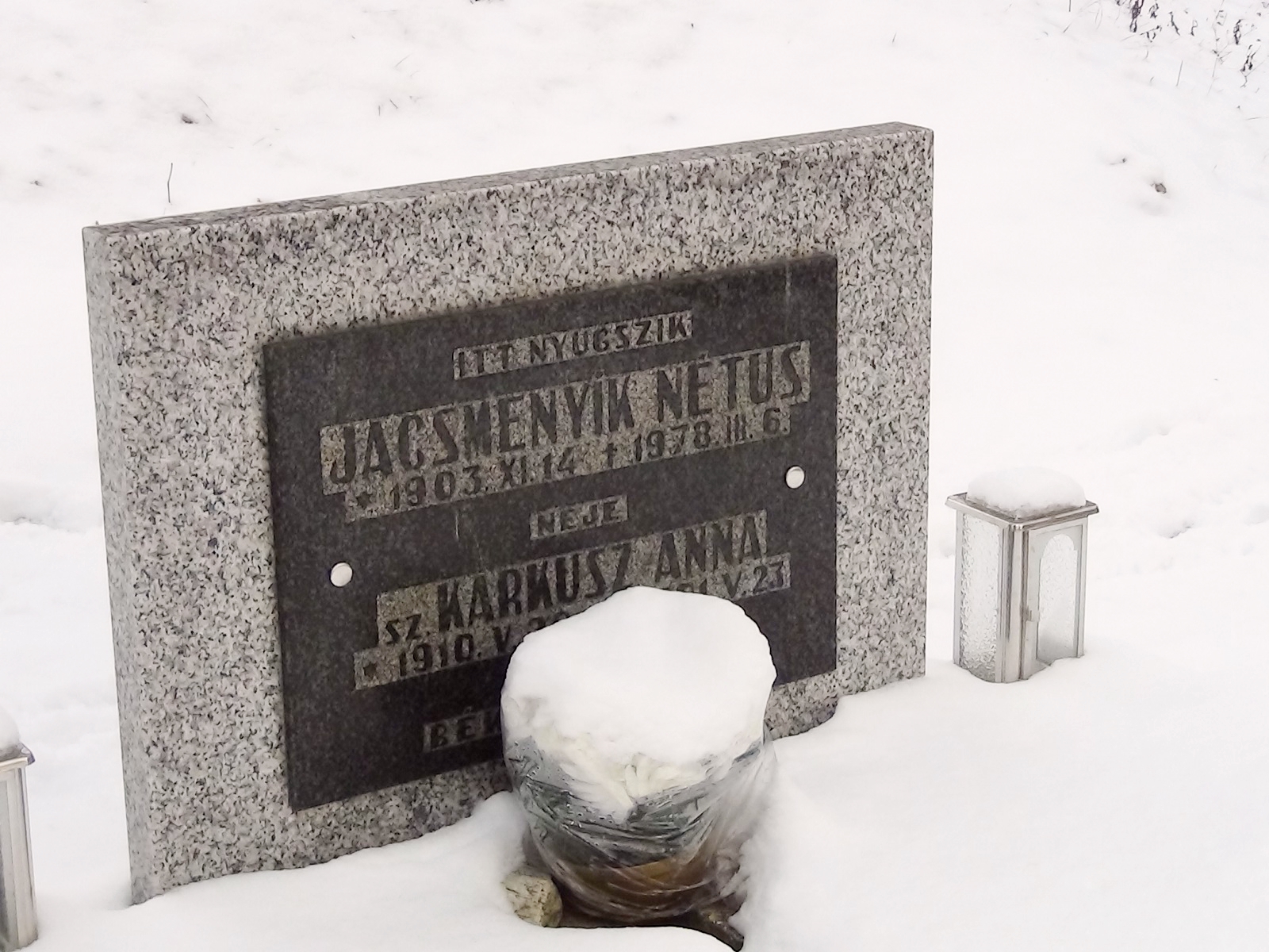 nagybalog-jacsmenyik-netus (1)