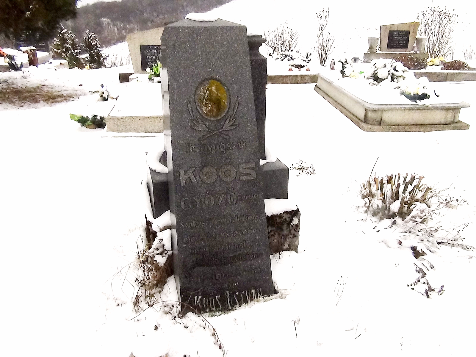 nagybalog-koos-gyozo-hadnagy (3)