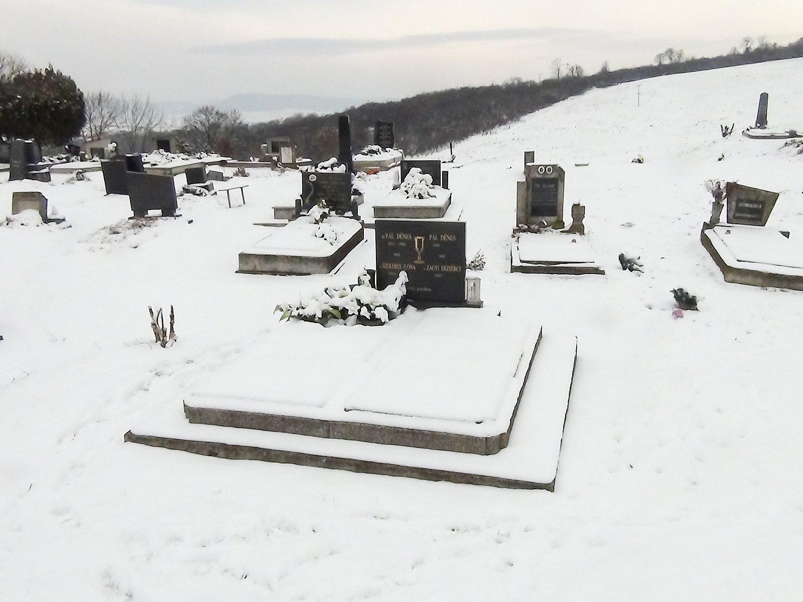 nagybalog-pal-denes (1)