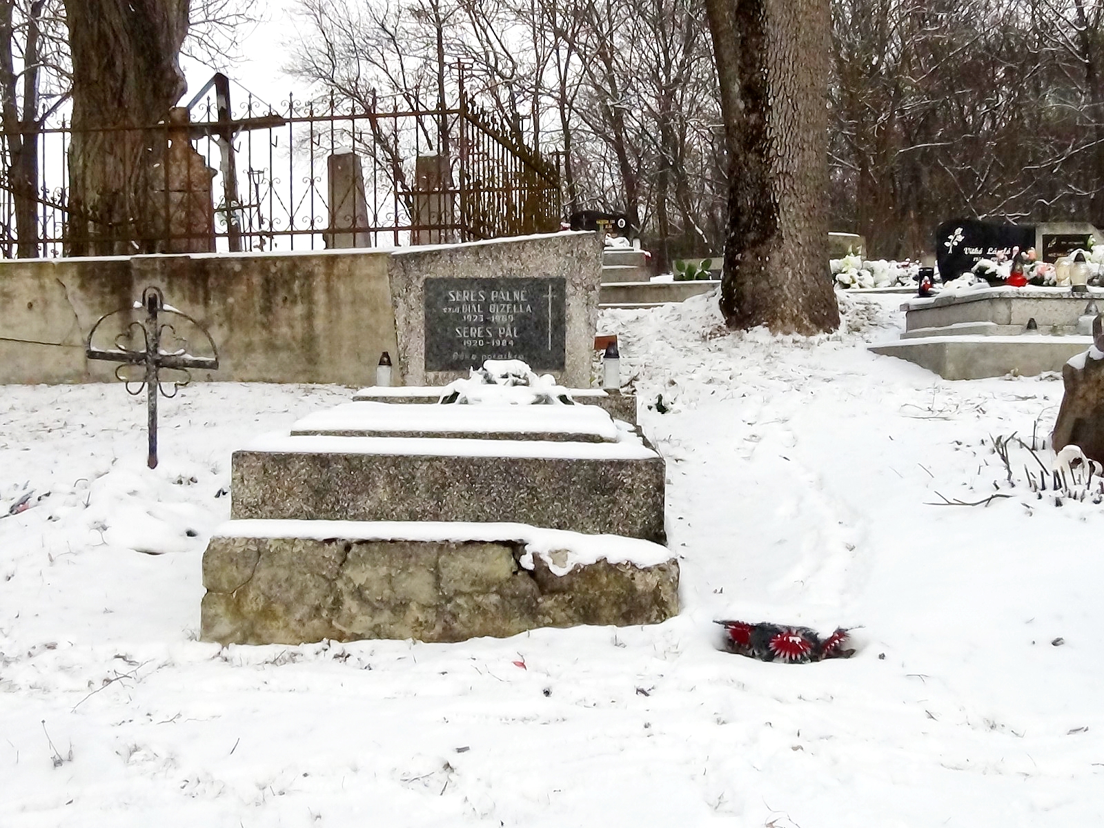 nagybalog-seres-pal (1)