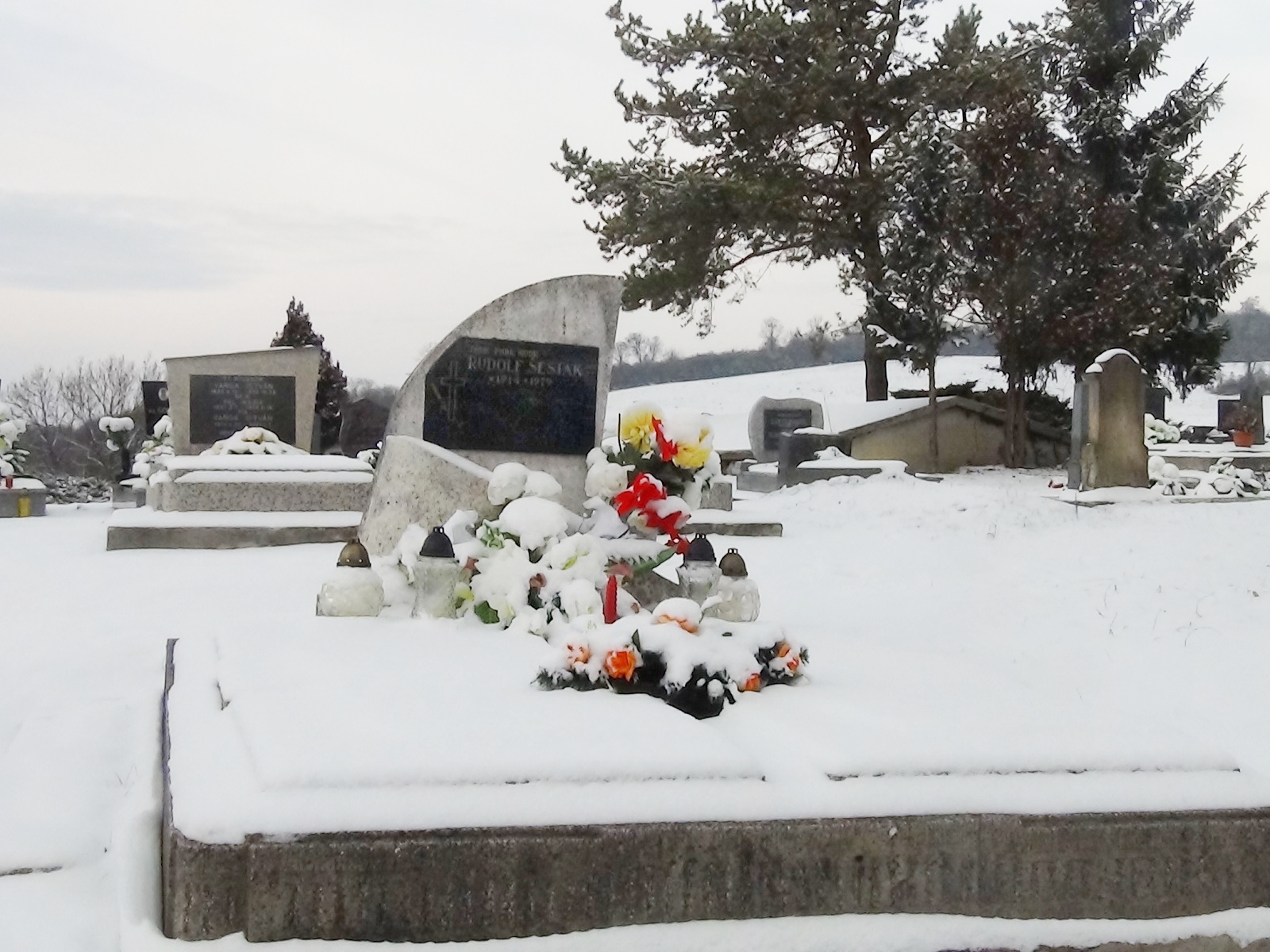 nagybalog-sestak-rudolf (1)