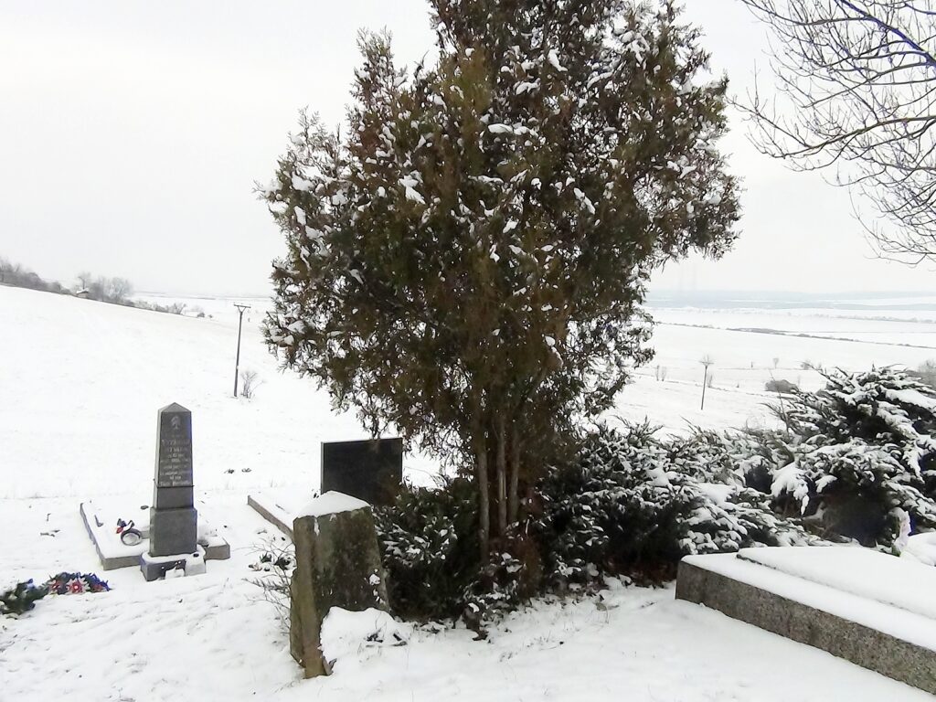 nagybalog-vitarius-istvan (3)