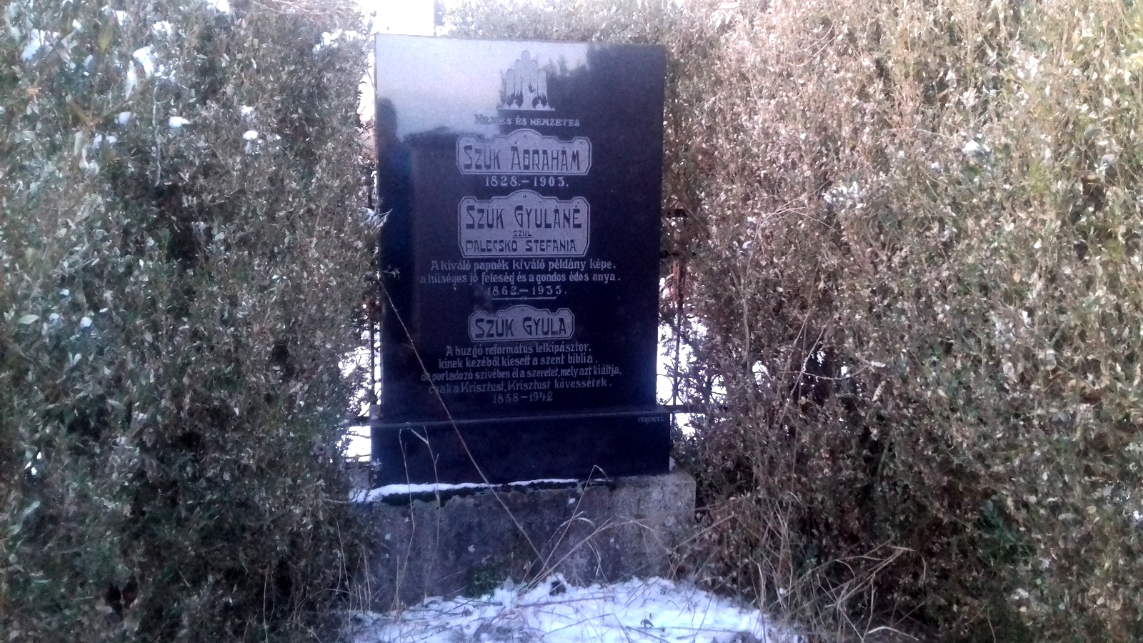 uzapanyit-szuk-gyula (1)