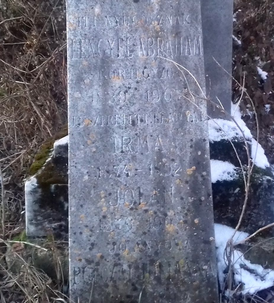 uzapanyitlengyel-abraham (4)