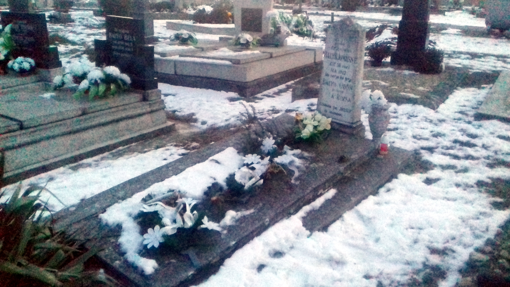 rimaszecs-balyo-odon (1)