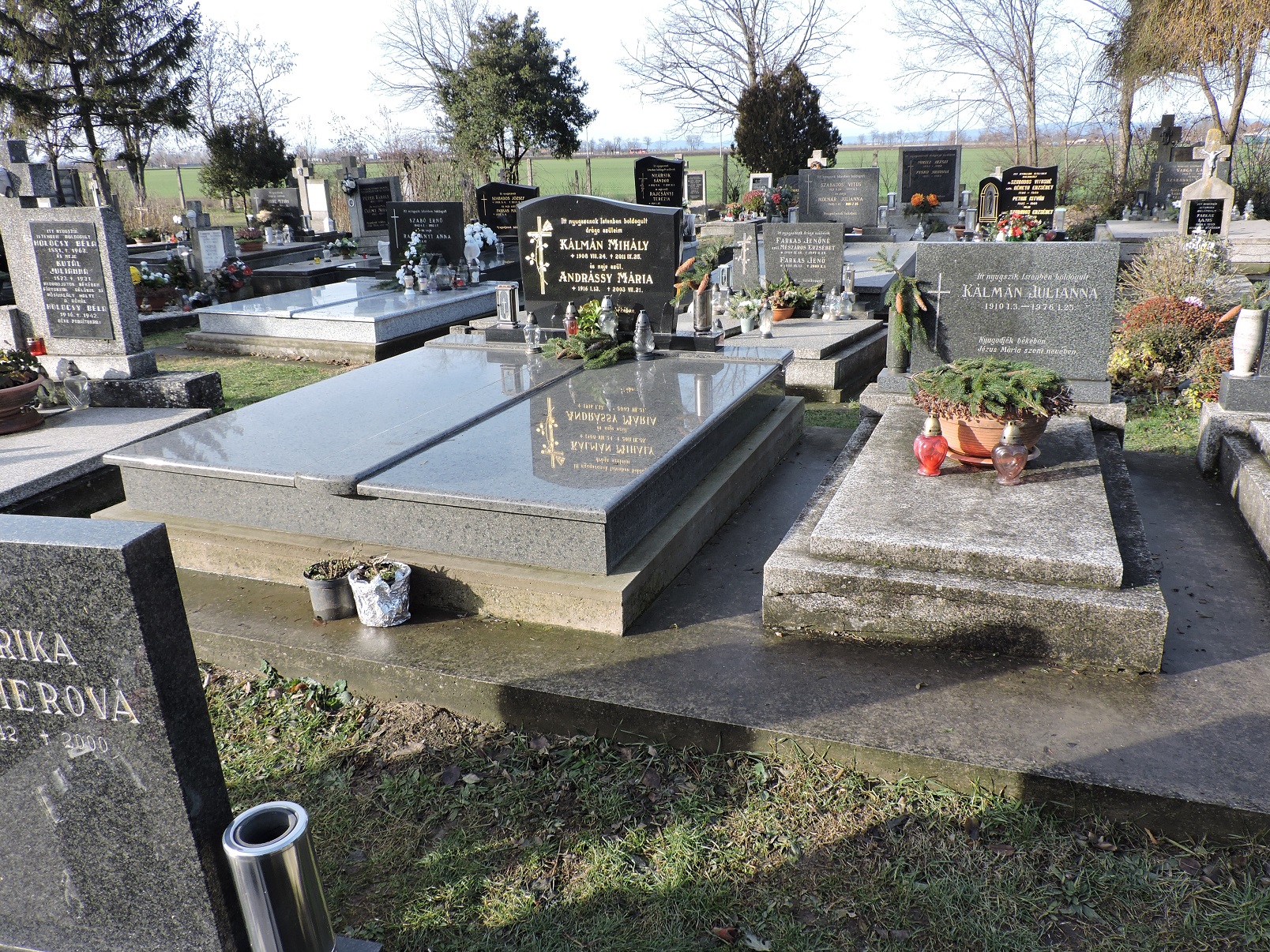 illeshza-kalman-mihaly-sirja (3)