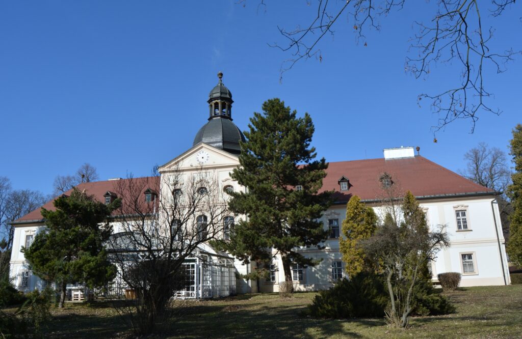 adamfalva-kastely (4)
