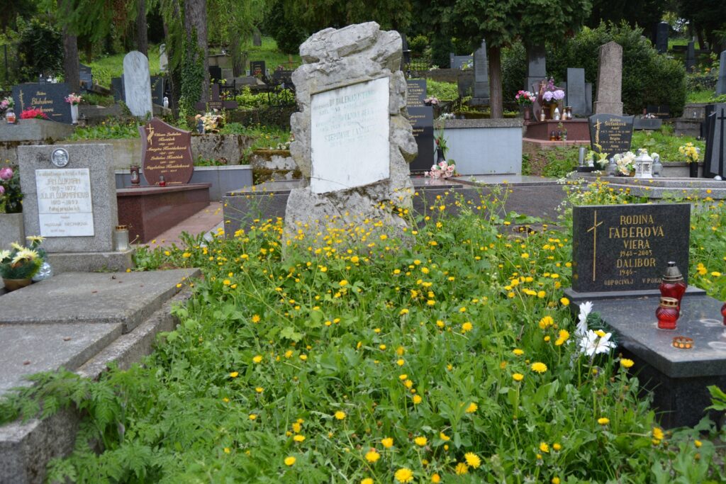 selmecbanya-boleman-istvan-sirja (2)