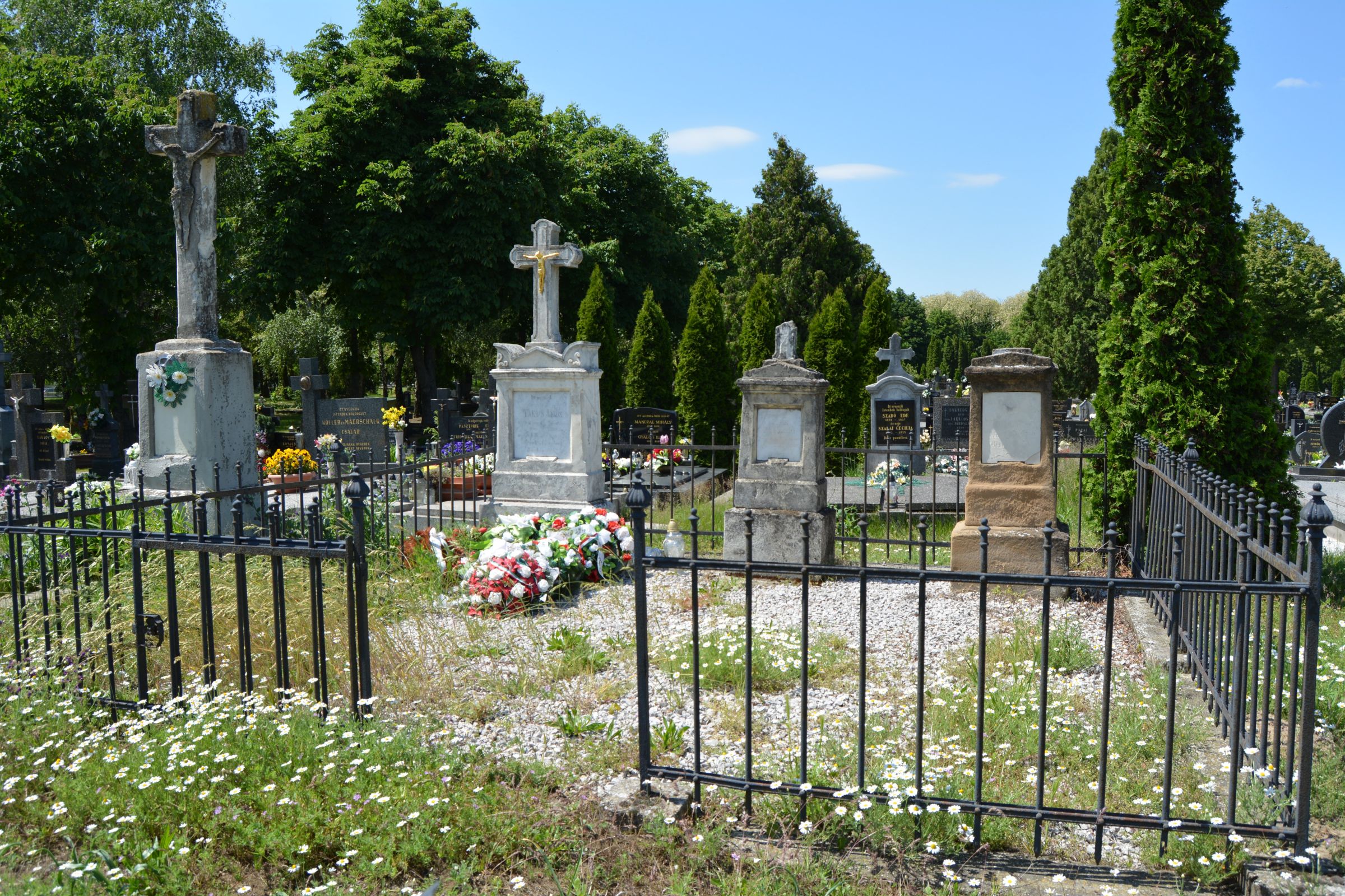 nagyfodemes-takacs-janos-sirja (2)