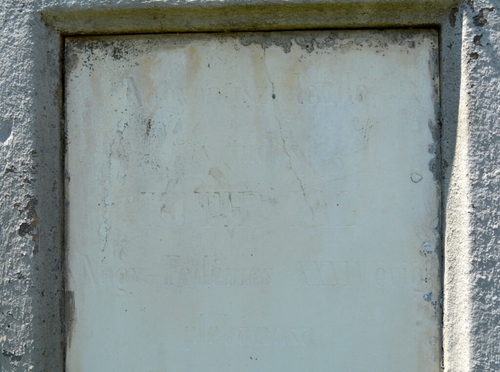 nagyfodemes-toth-pal-plebanos-sirja (7)