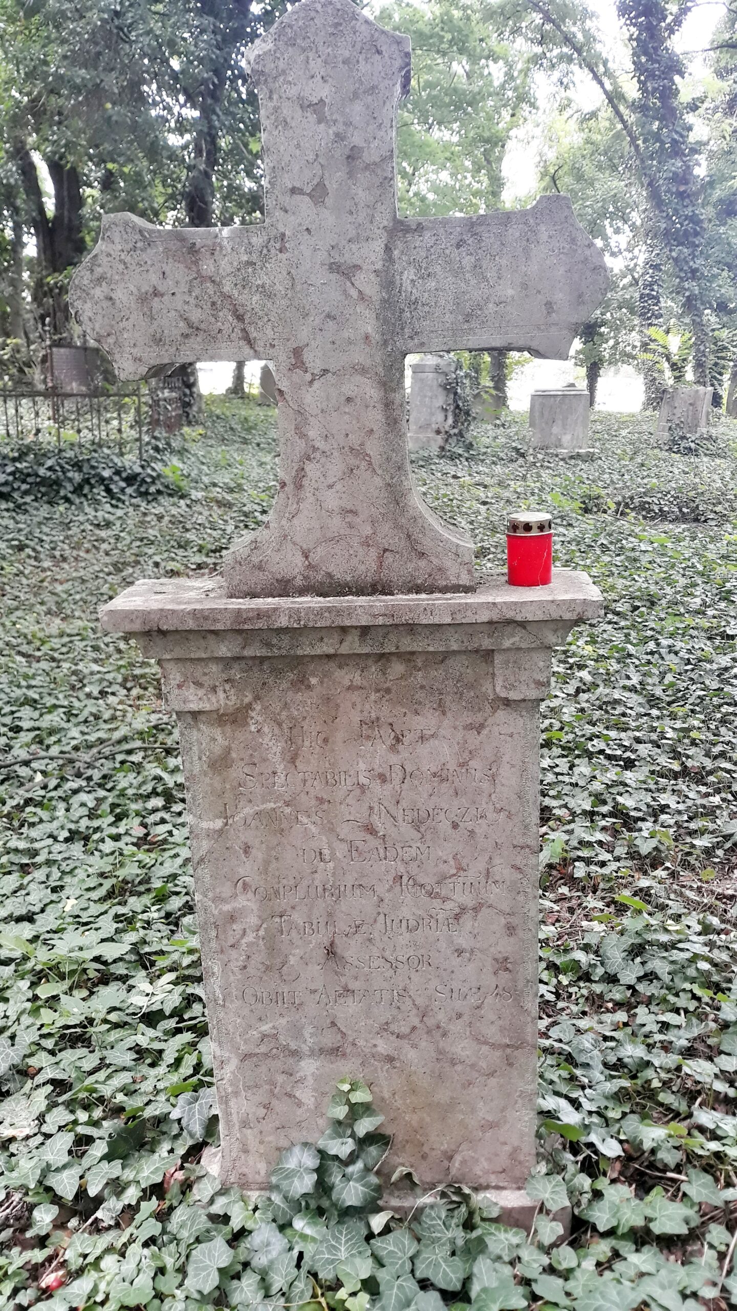 Karva_Nedeczky_sir-1