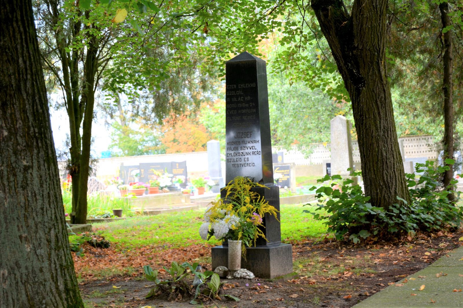 rete-sandor-jozsef-jelkepes-sirja (1)