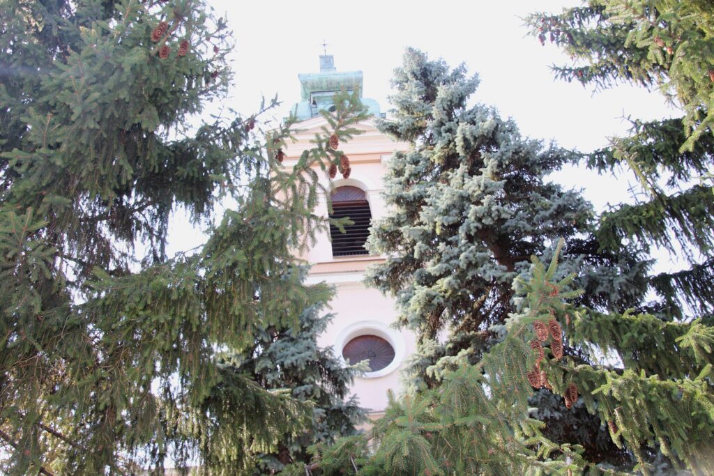 felsoszeli-evangelikus-templom (6)