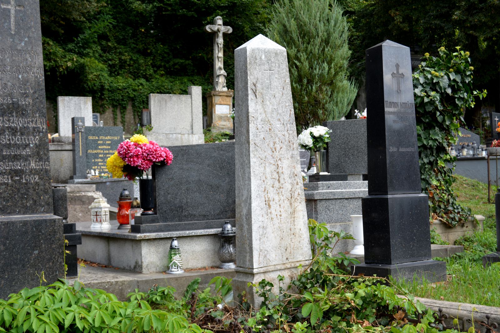 trencsen-recsegi-istvanne-sirja (1)