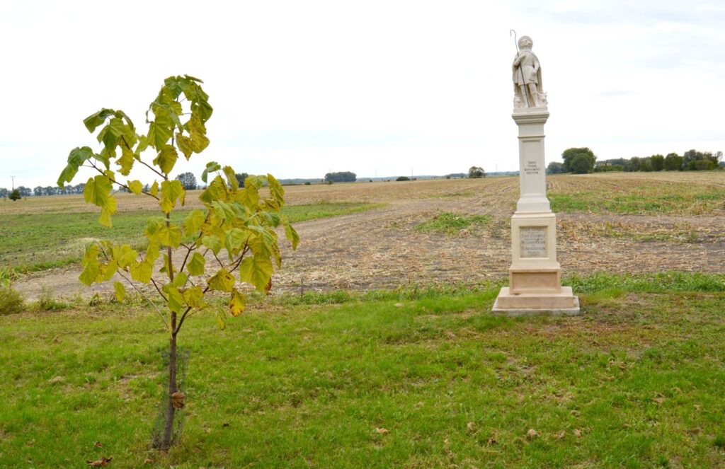 kiralyrev-szent-vendel-szobor (2)