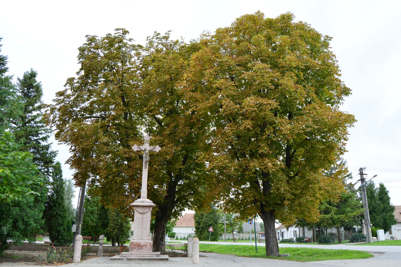 zsigard-belik-kereszt (1)