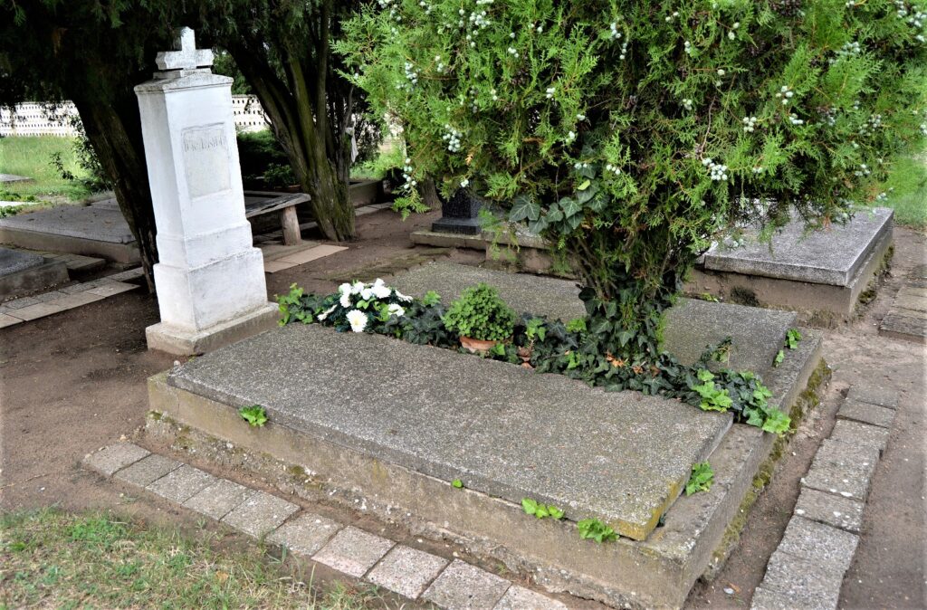 rete-doka-laszlo-sirja (3)