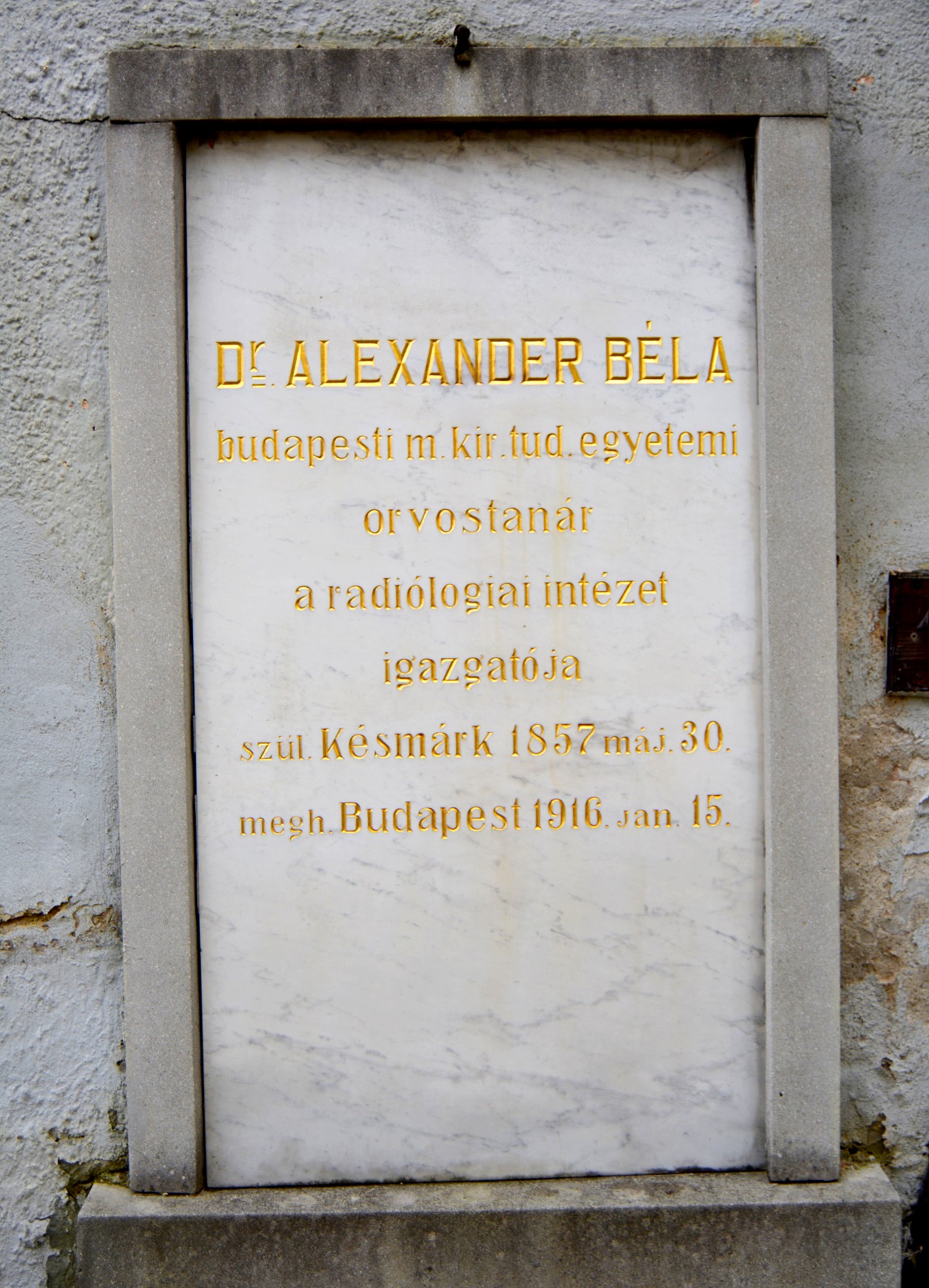 kesmark-alexander-bela-sirja (1)