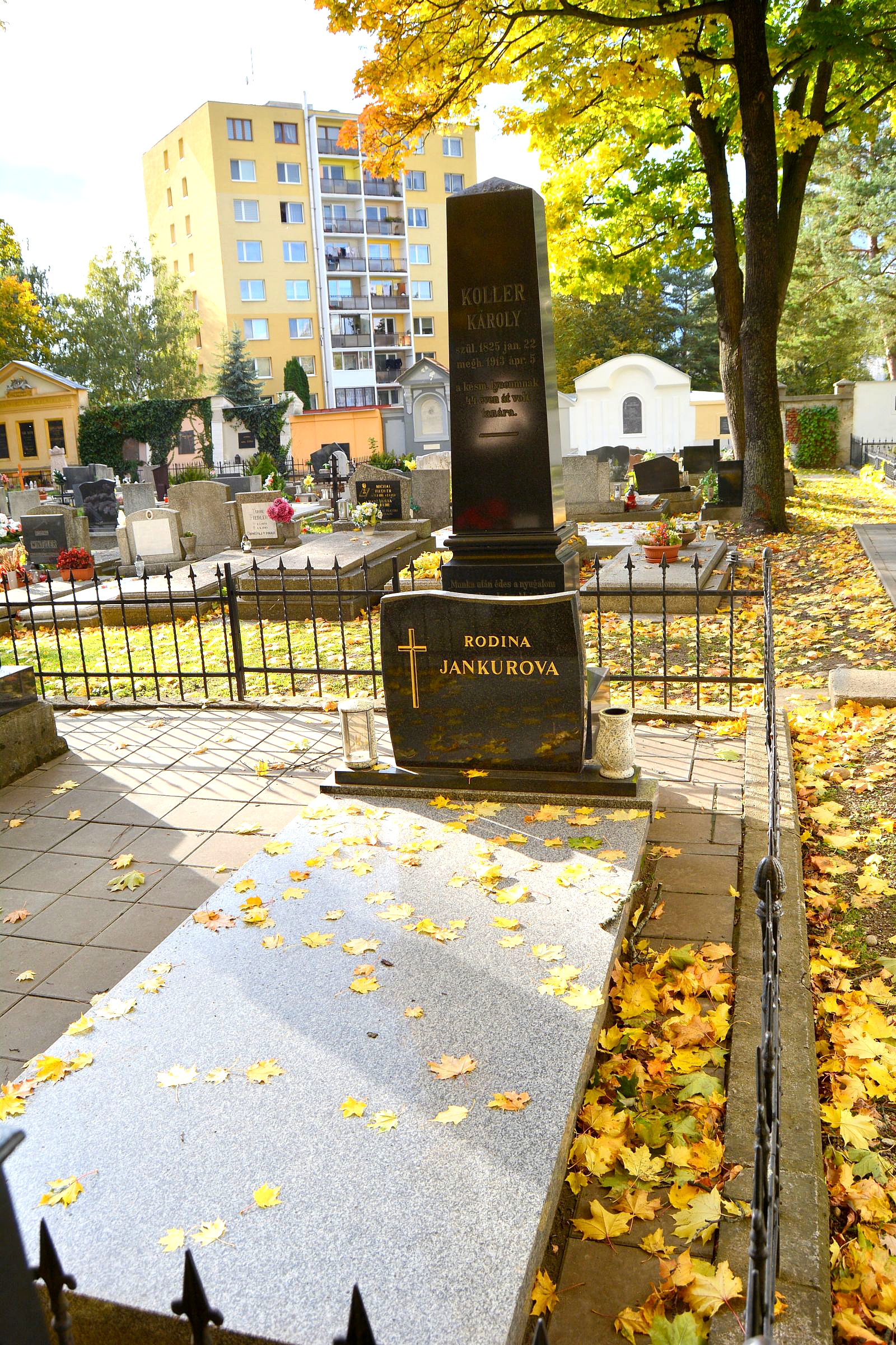 kesmark-koller-karoly-sirja (1)
