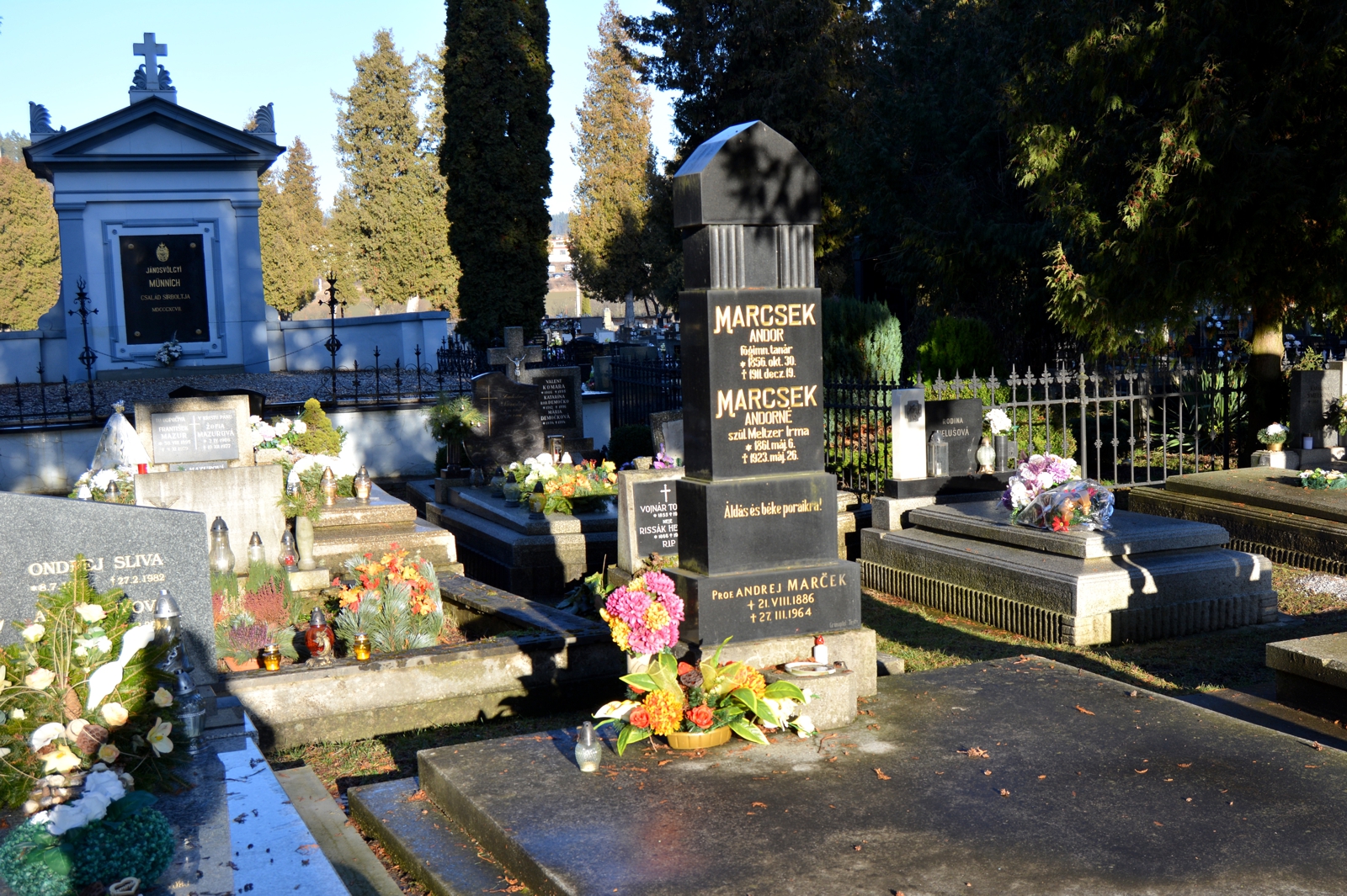 iglo-marcsek-andor-sirja (1)