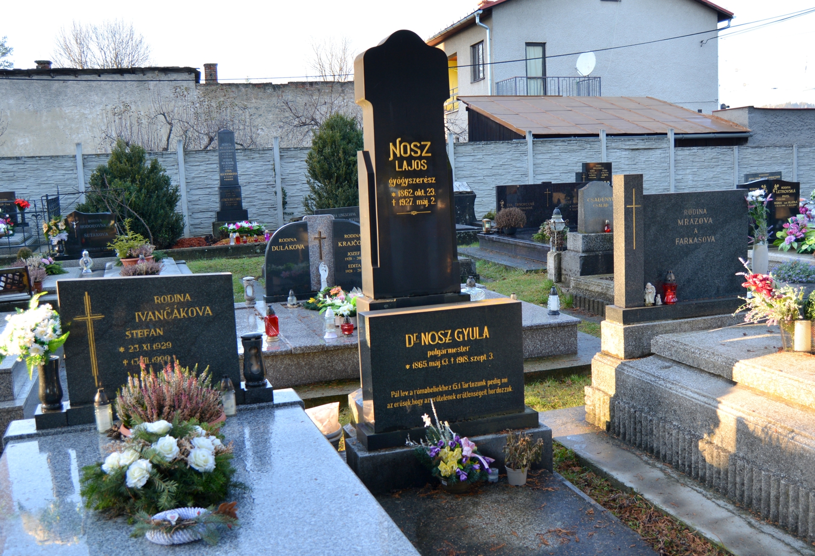 iglo-nosz-gyula-sirja (1)