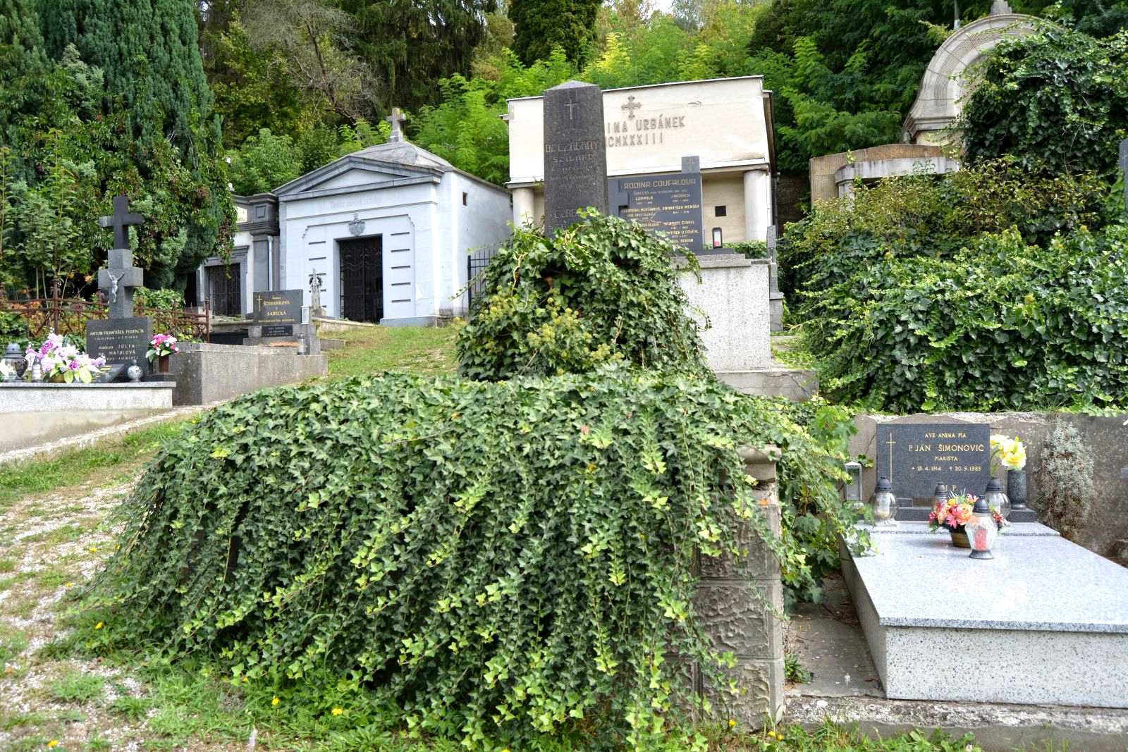 trencsen-dr-czagany-szilard-sirja (1)