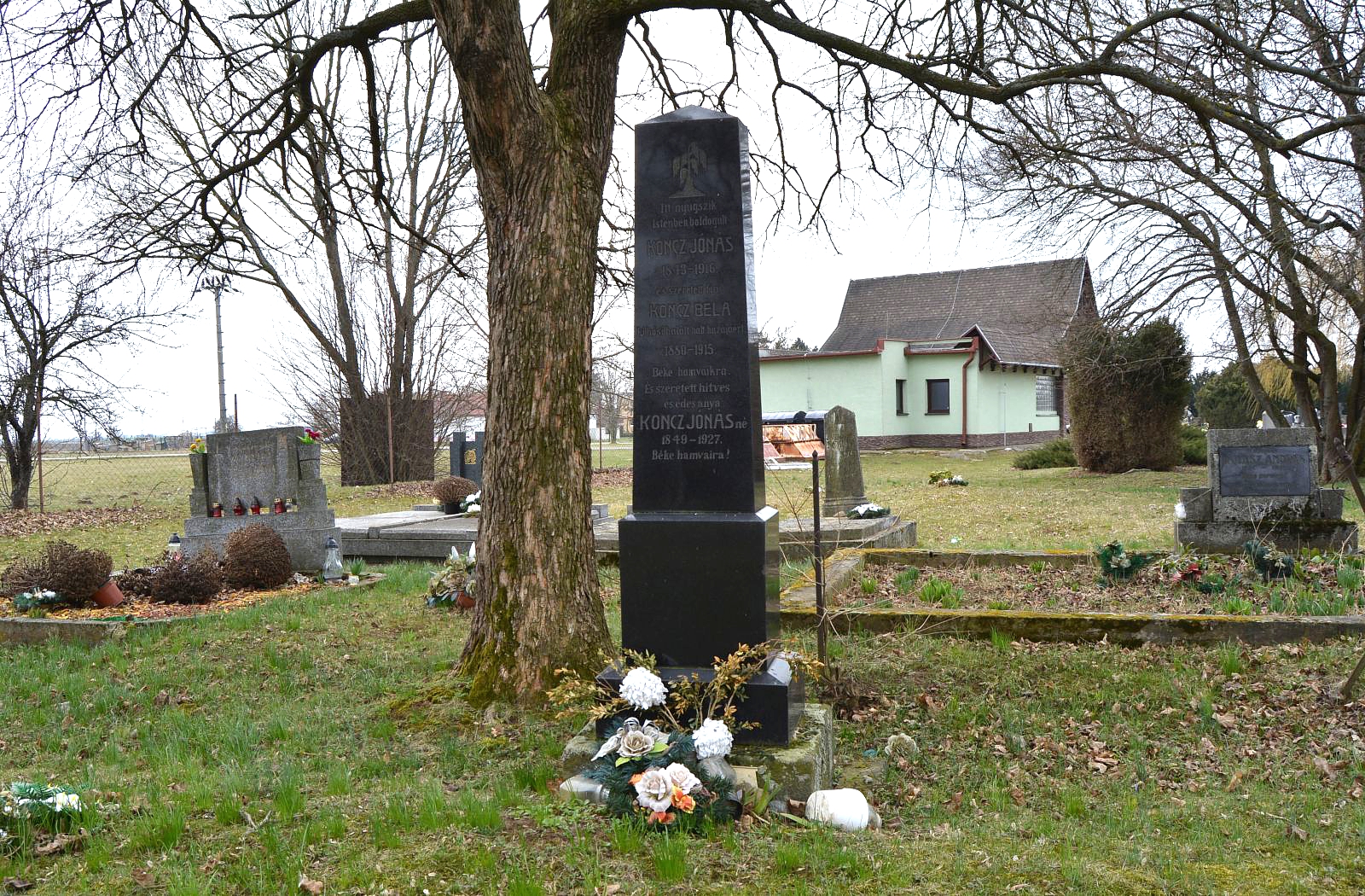 barsendred-koncz-bela-sirja (1)