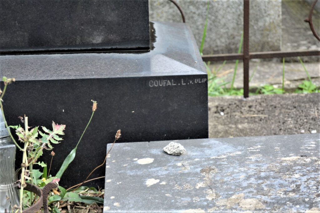 trencsen-lieszkovszky-artur-sirja (9)