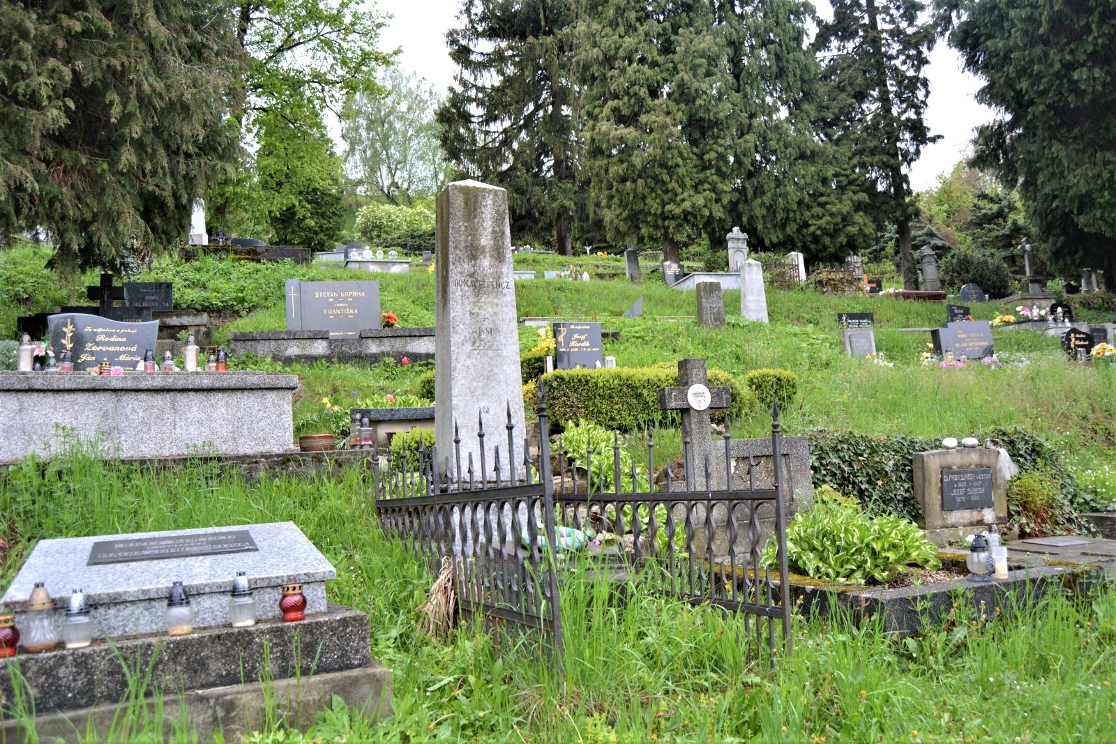 selmecbanya-ronay-ferenc-sirja (1)