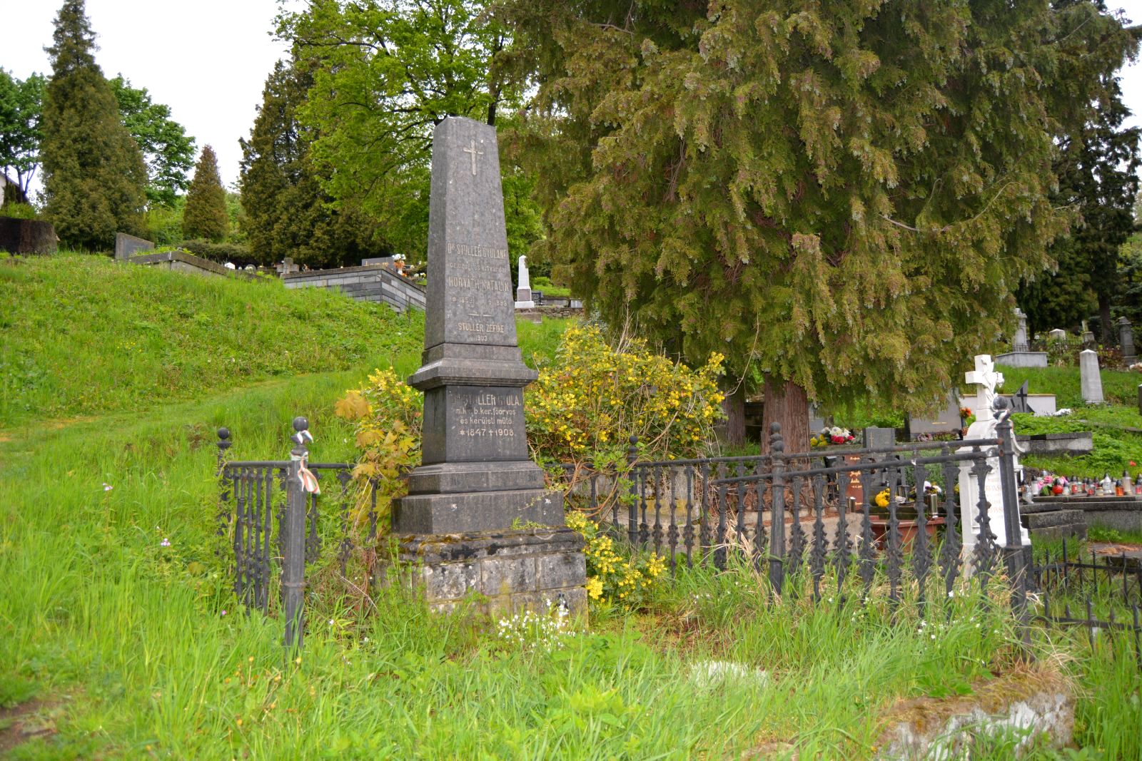 selmecbanya-dr-stuller-gyula-sirja (1)