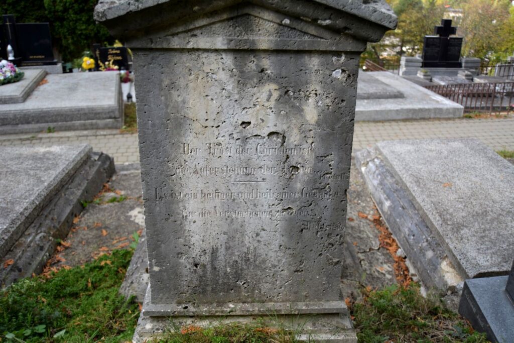 locse-still-pal-sirja (9)