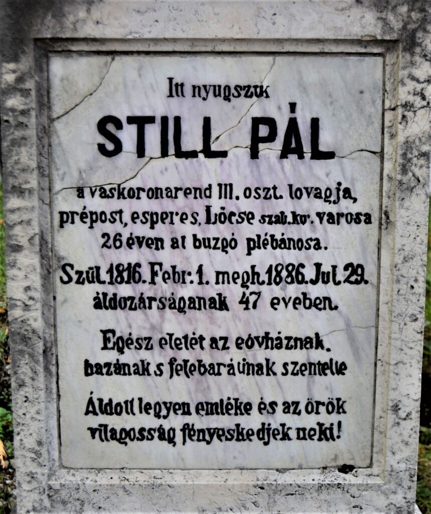 locse-still-pal-sirja (8)