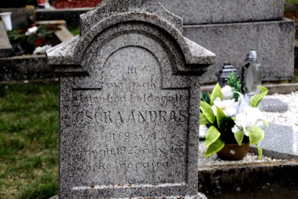 gelle-ogelle-csoka-istvany-andras-sirja (8)