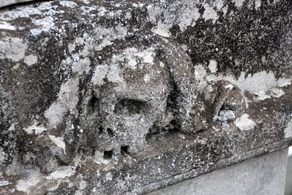 gelle-ogelle-csoka-istvany-andras-sirja (6)