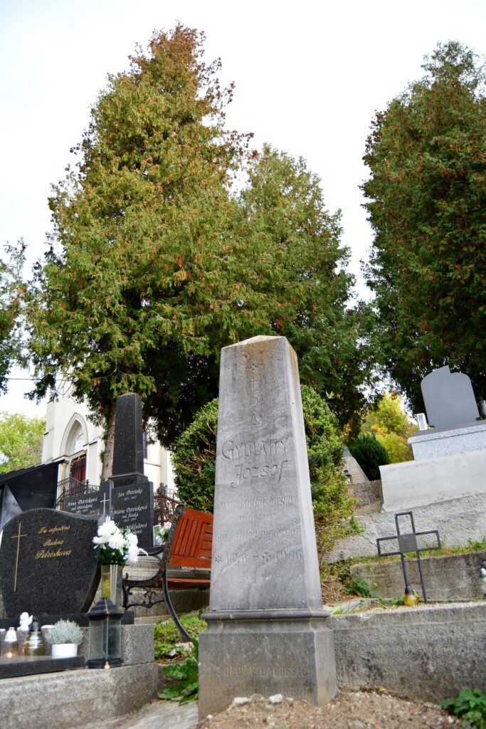 locse-gyulaffy-jozsef-sirja (4)