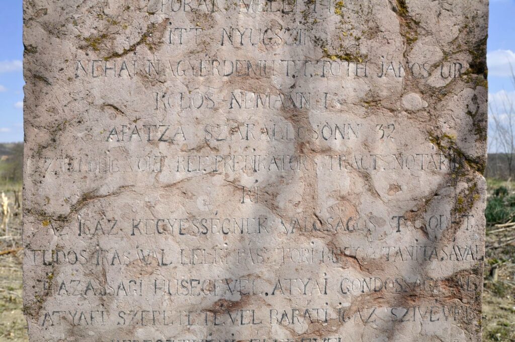 Madar_Nagymegyeri_Besnyei_Gyorgy_sirja (6)