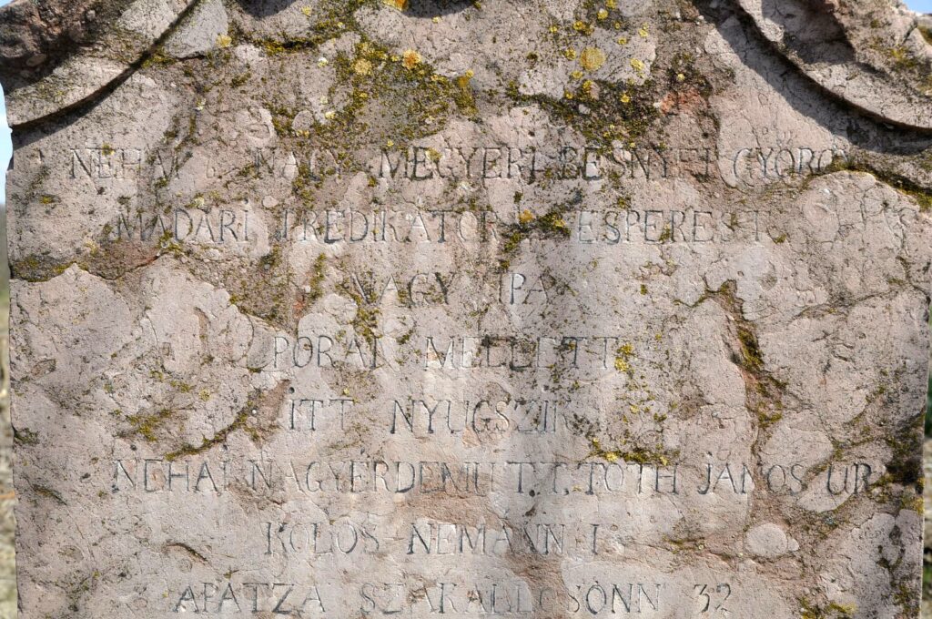 Madar_Nagymegyeri_Besnyei_Gyorgy_sirja (5)