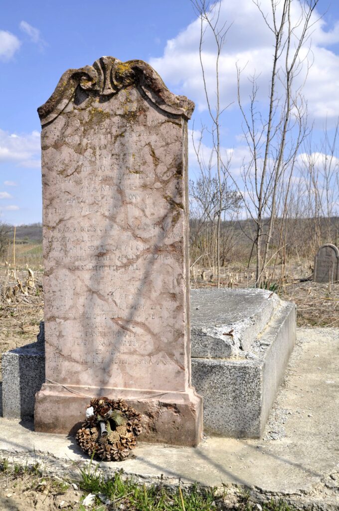 Madar_Nagymegyeri_Besnyei_Gyorgy_sirja (3)