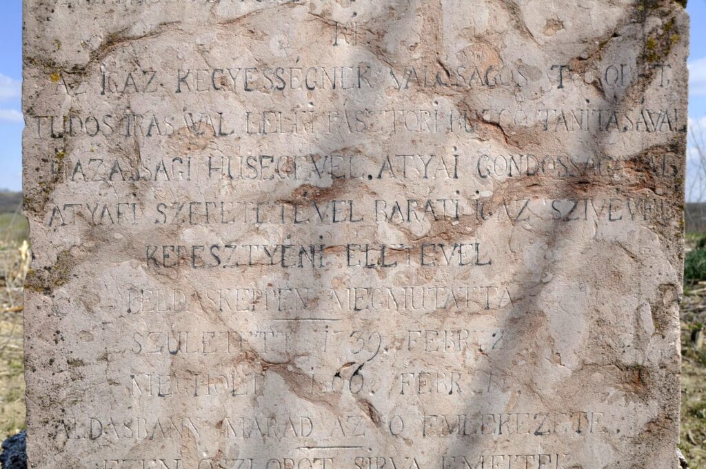 Madar_Nagymegyeri_Besnyei_Gyorgy_sirja (1)