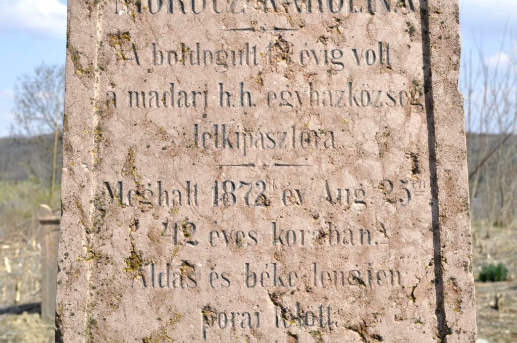 Madar_Bese_Elek_sirja3