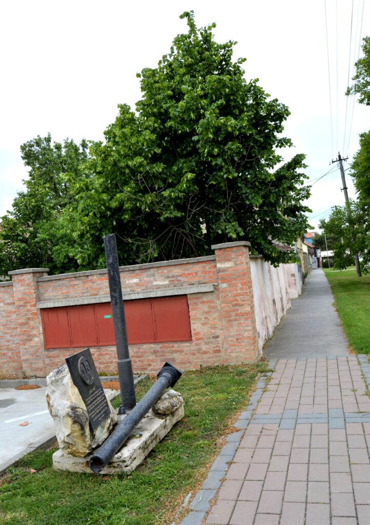 vagkiralyfa-miska-haz (4)