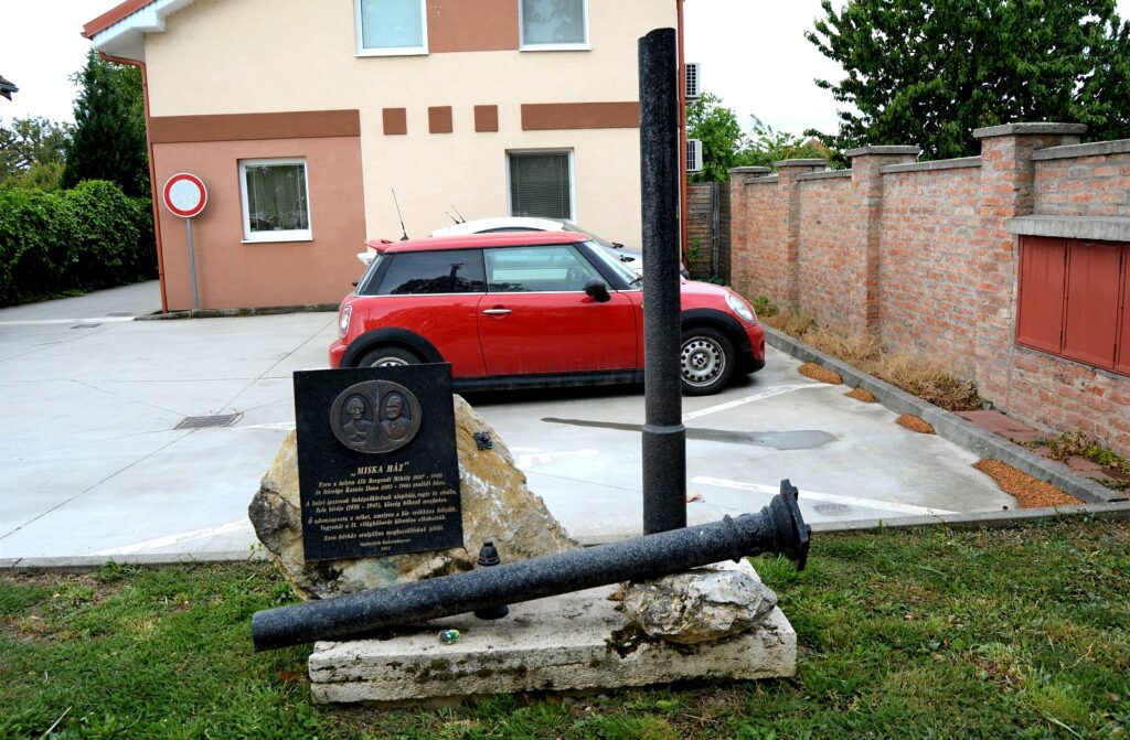 vagkiralyfa-miska-haz (2)