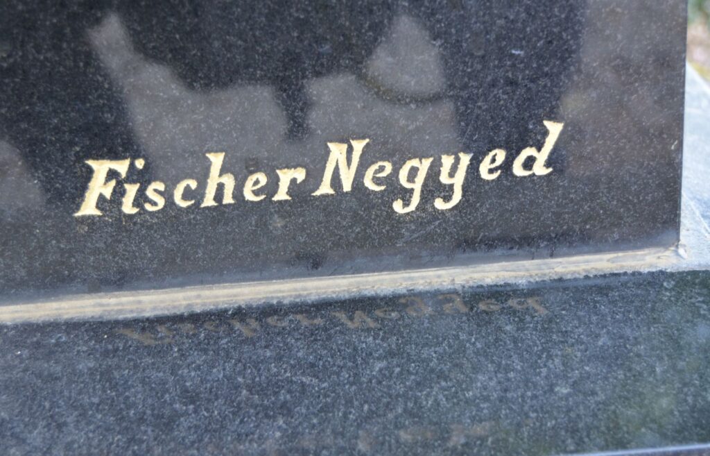 negyed-sandor-beno-lelkesz-sirja (4)