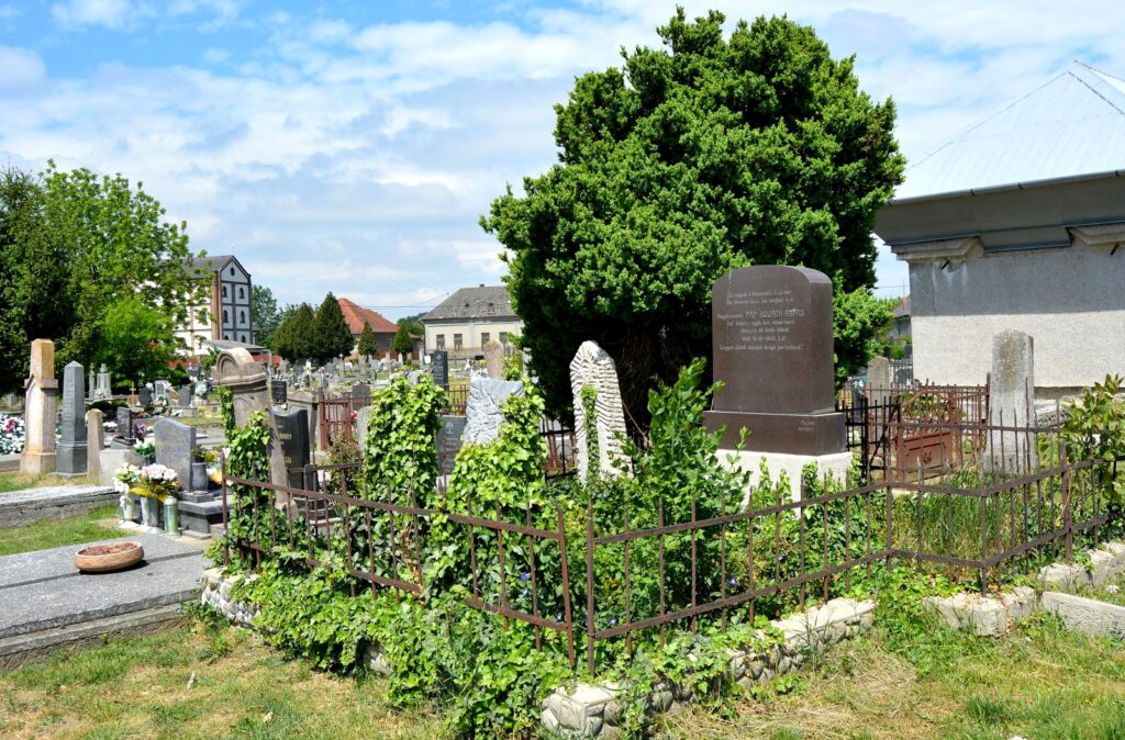 vagfarkasd-pap-kovacs-arpad-sirja (3)