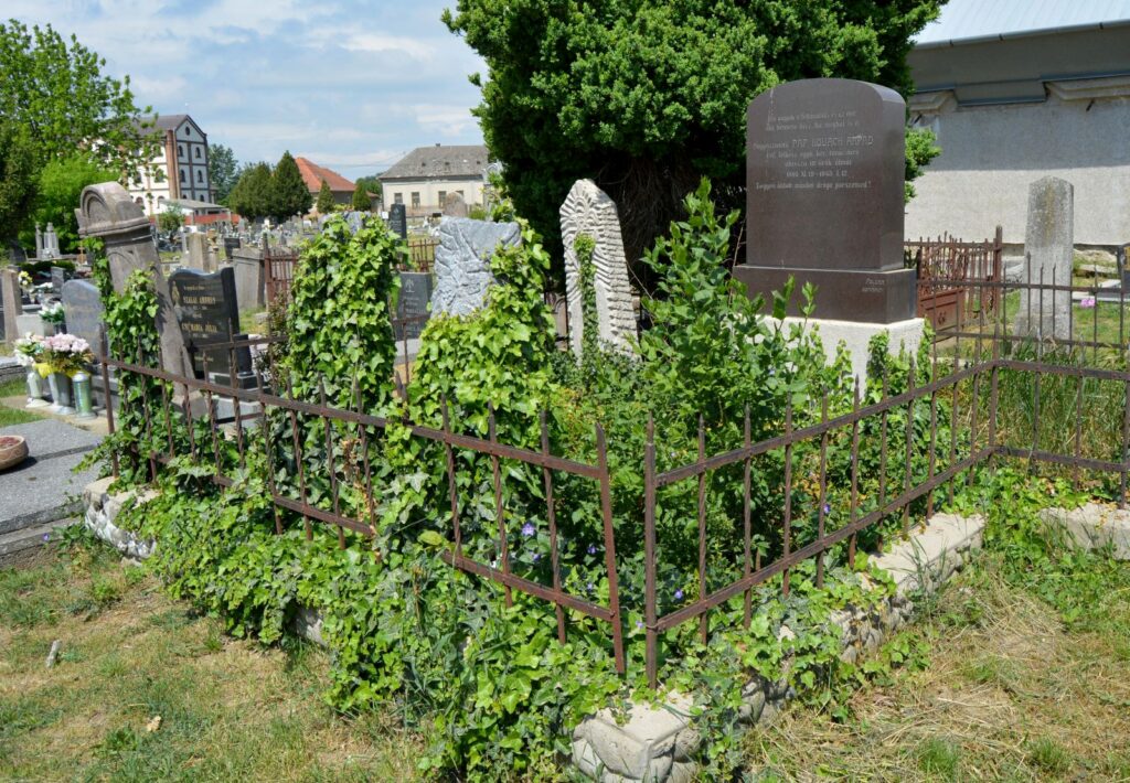 vagfarkasd-pap-kovacs-arpad-sirja (2)