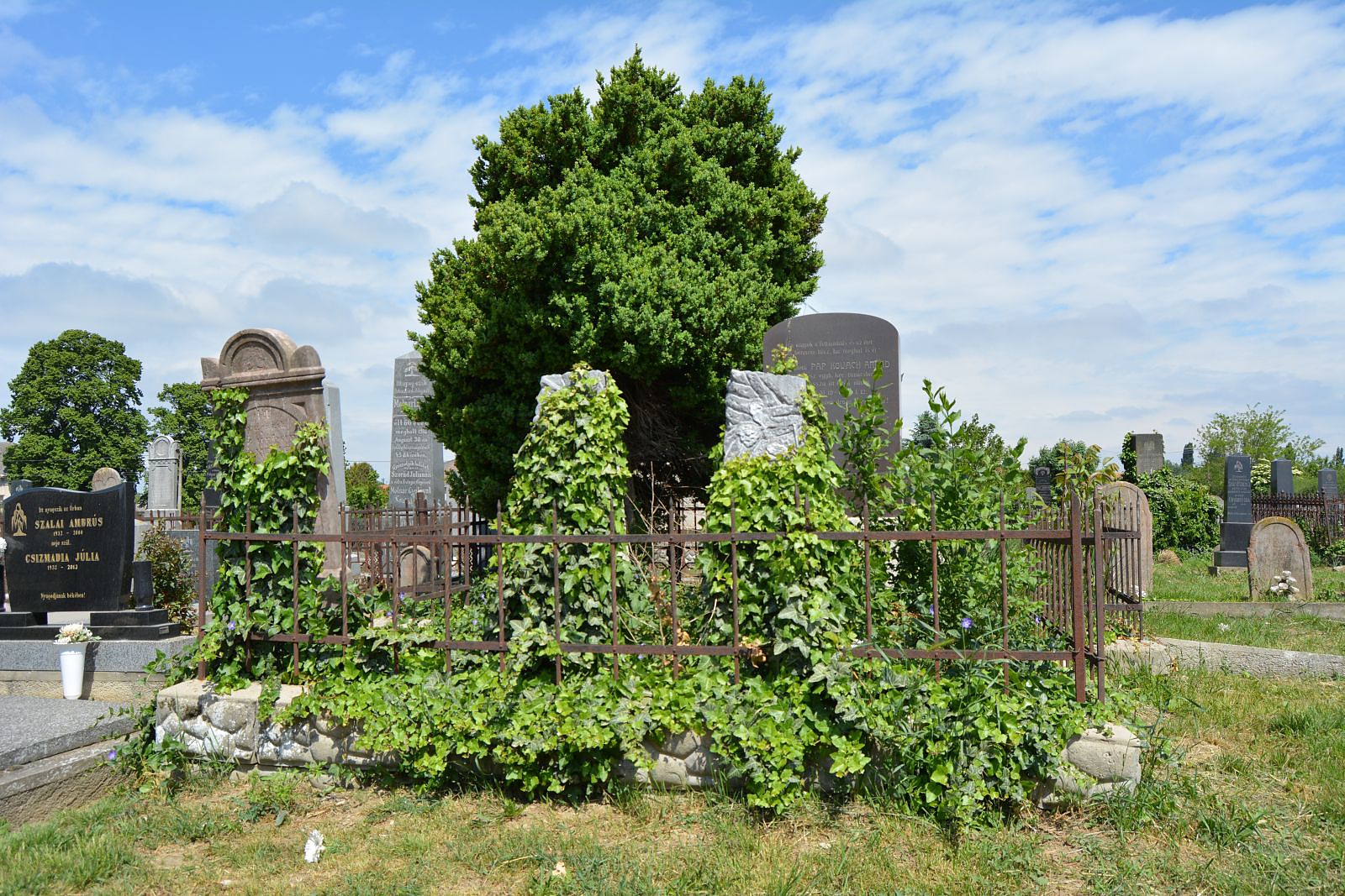 vagfarkasd-pap-kovacs-arpad-sirja (1)