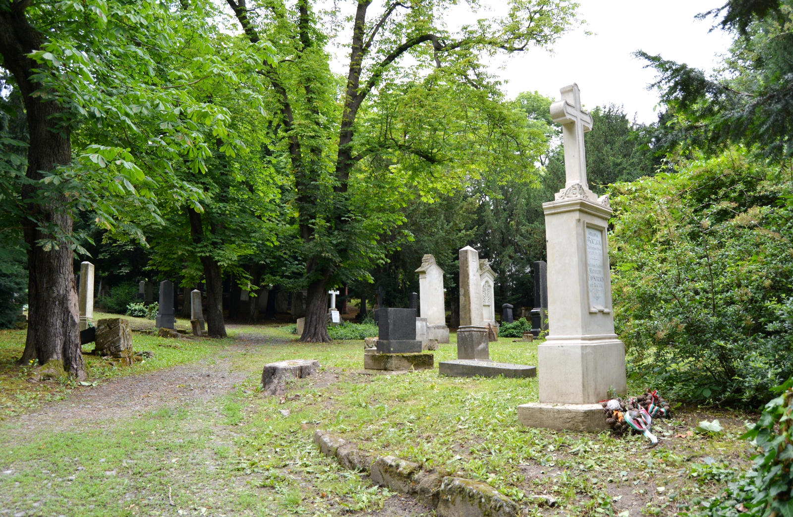 pozsony-razga-johanna-sirja (1)